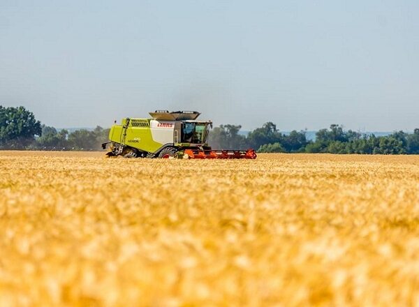 Спека до 37°С накриє Україну, дощі очікують на заході