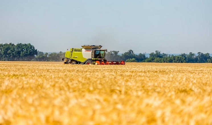 Погода в Україні: сильна спека до 37°С, дощ можливий лише в західних областях