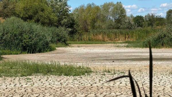 Забудова в Ужгороді знищує Чорне озеро