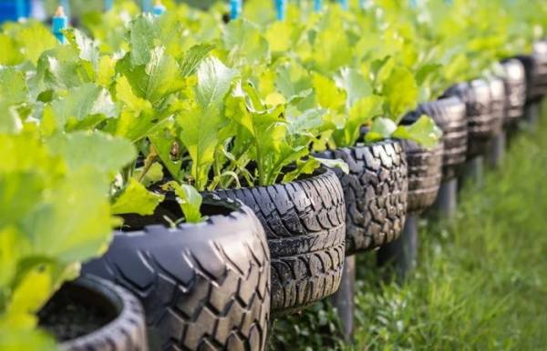 Перетворіть старі речі на окрасу дачі: добірка найкращих ідей апсайклінгу 5