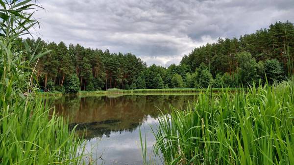 Вода у водоймах: чим загрожує купання для вашого здоров'я 10