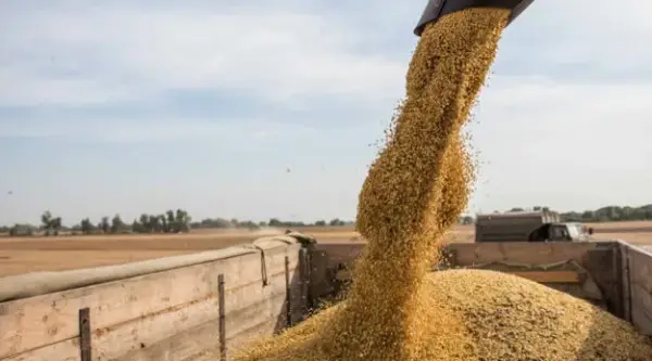 Окупанти заблокували 9 мільйонів тонн українського врожаю 6