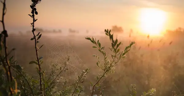 День ангела 15 серпня: кого та як вітати з іменинами