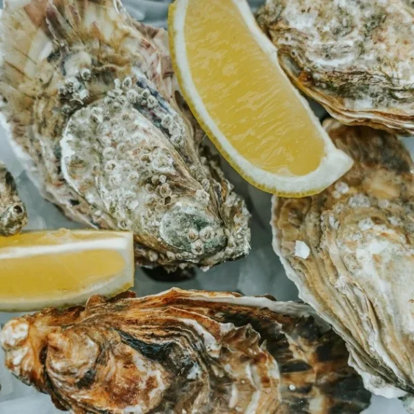Сім морепродуктів, що зміцнять ваше серце та мозок