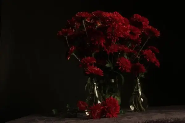 День ангела 26 серпня — душевні привітання в прозі