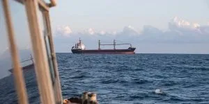 Зерновози під прицілом: як уникнути колапсу світового ринку 5
