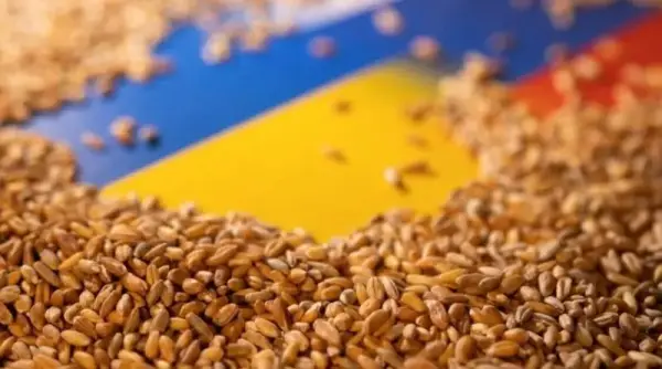 Україна в серпні експортувала 1,4 мільйона тонн агропродукції