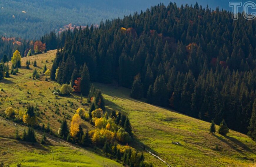 Відновлення карпатської хати: скільки коштувало перетворити її на дім мрії