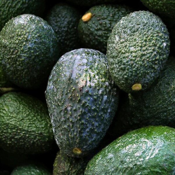 8 продуктів, що перевершують авокадо за вмістом корисних жирів