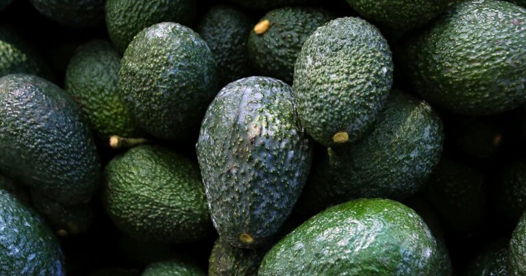 8 продуктів, що перевершують авокадо за вмістом корисних жирів 2
