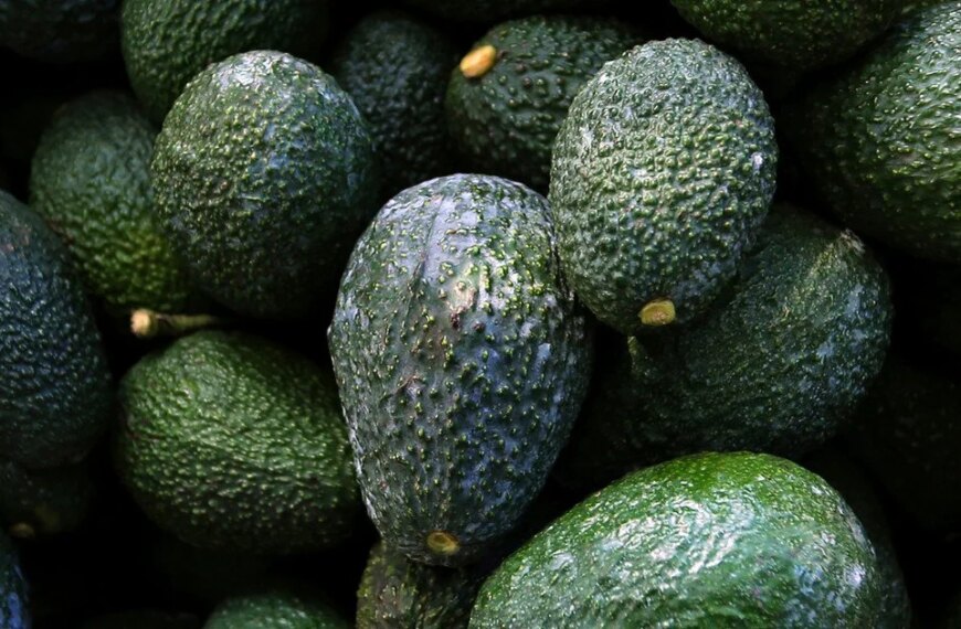 8 продуктів, що перевершують авокадо за вмістом корисних жирів
