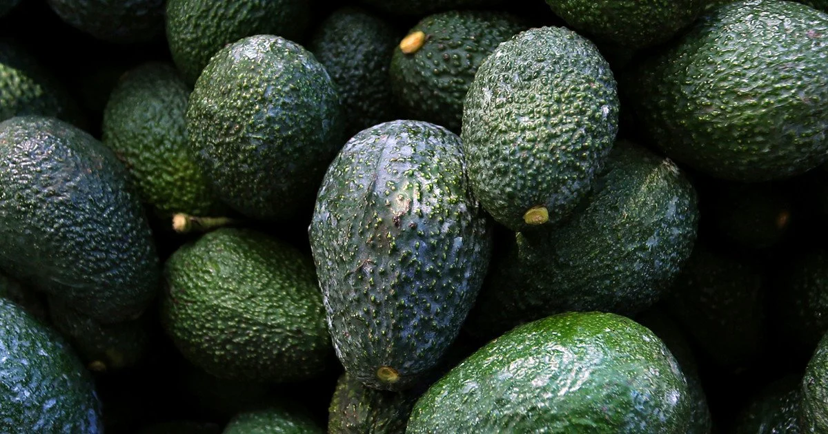 8 продуктів, у яких більше корисних жирів, ніж в авокадо