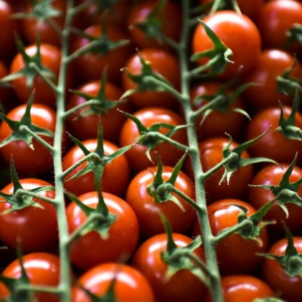 5 продуктів, що дарують довголіття: обираємо мудро