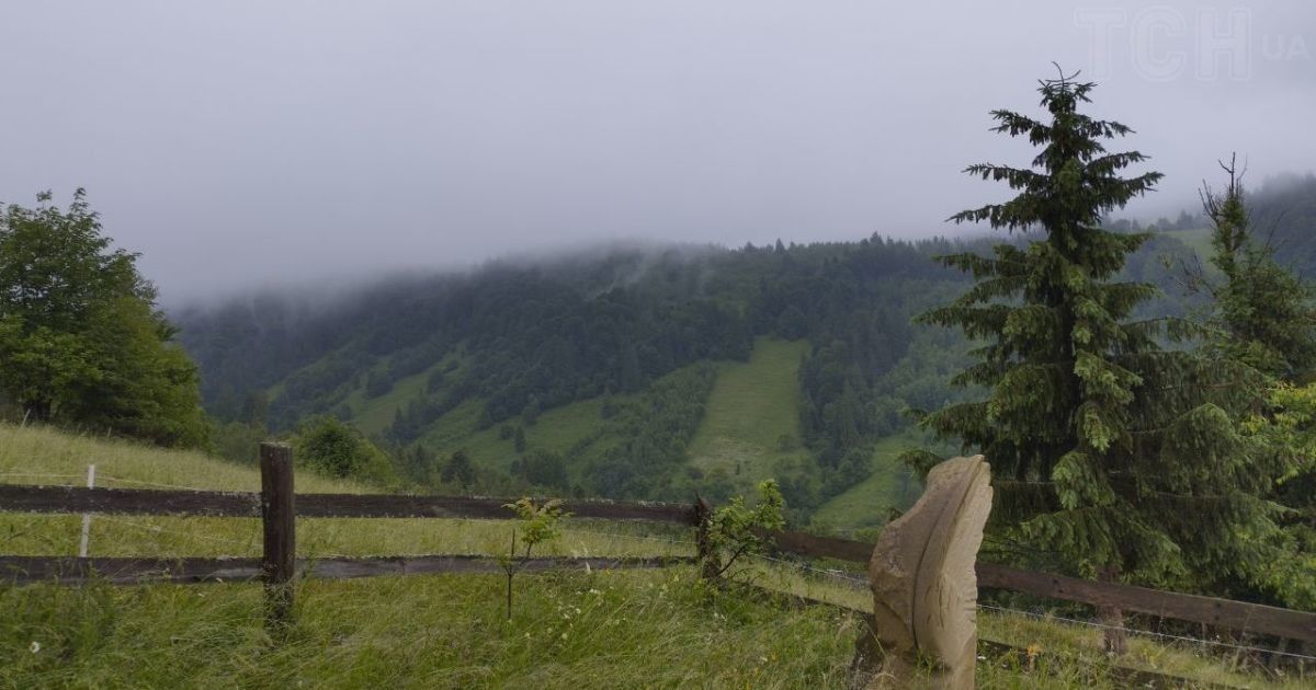 Карпати