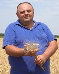 Технології та погода: як Україна зібрала рекордний урожай соняшнику