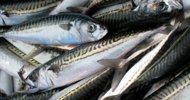 7 продуктів, що зміцнять ваші кістки та м’язи завдяки магнію 6