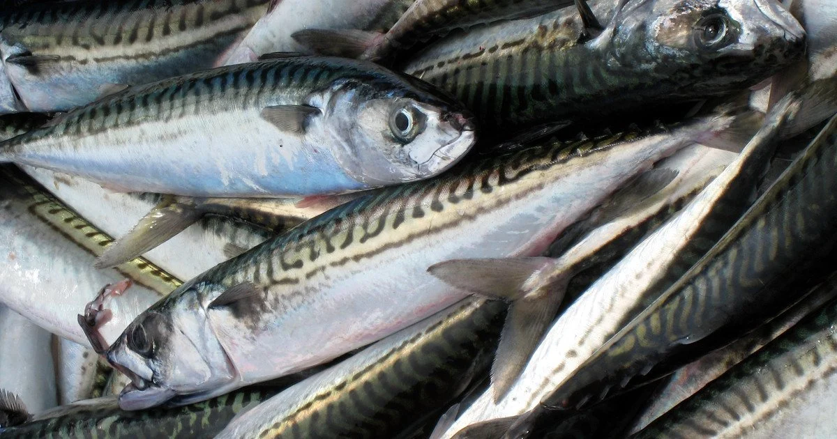 7 продуктів із високим вмістом магнію