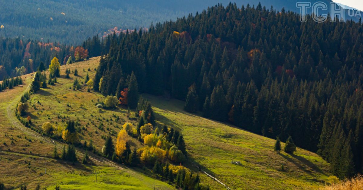 Зовнішній вигляд старої хати в Карпатах