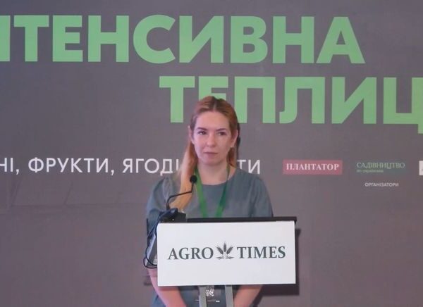 Ціни на овочі знизилися попри зростання витрат на логістику