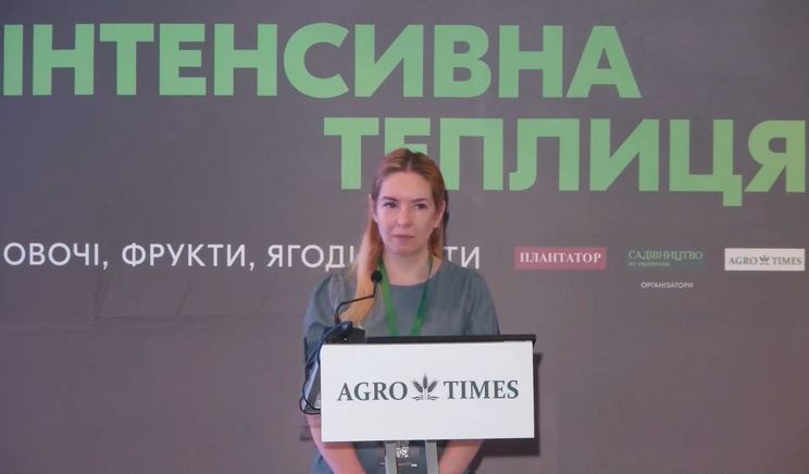 Ціни на овочі знизилися попри зростання витрат на логістику