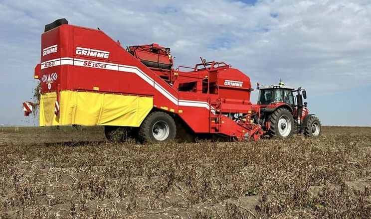 Урожайність картоплі на Львівщині впала майже на чверть