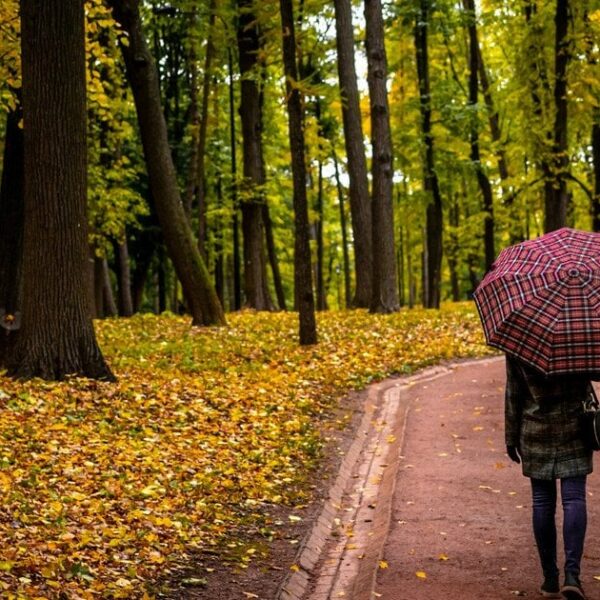 Як зміна світлового дня впливає на настрій: пояснення для організму