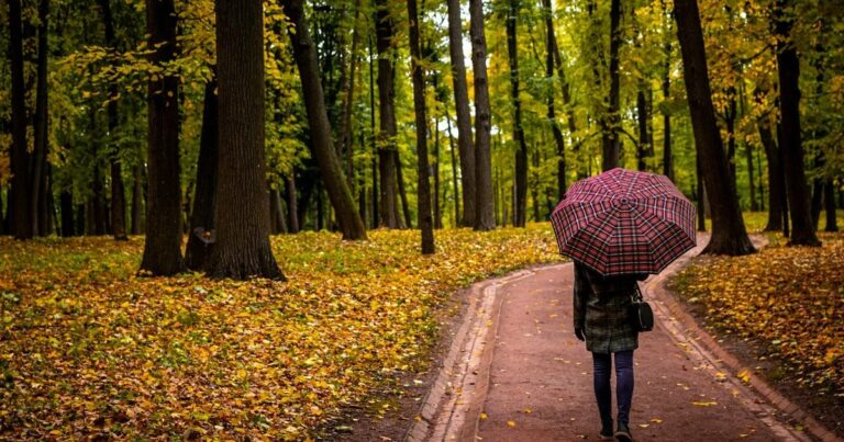 Як зміна світлового дня впливає на настрій: пояснення для організму 1