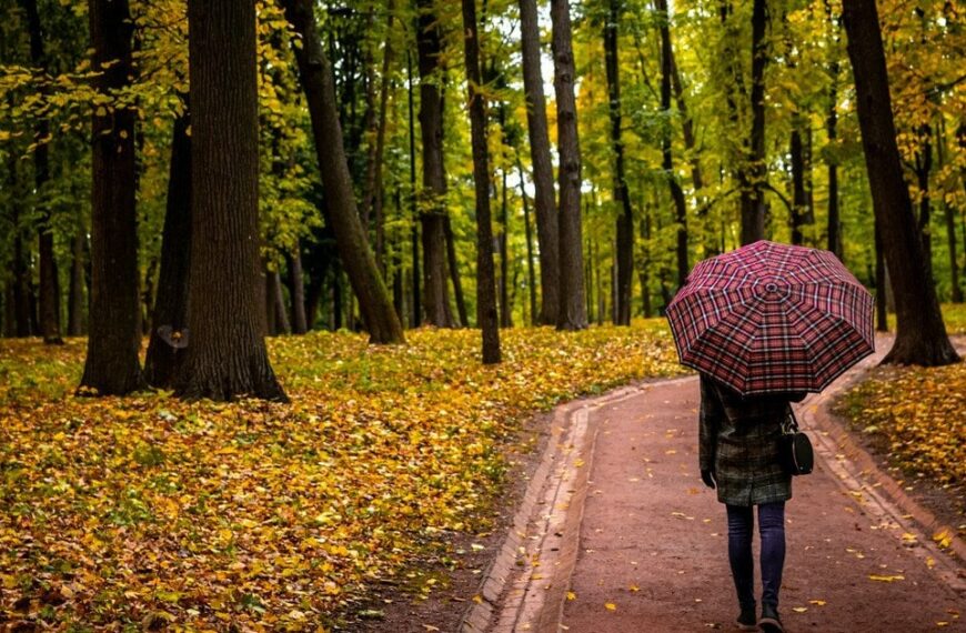 Як зміна світлового дня впливає на настрій: пояснення для організму